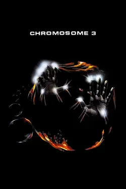 Affiche Chromosome 3