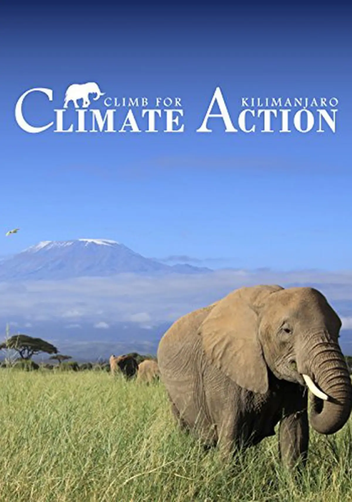 Climb for Climate Action