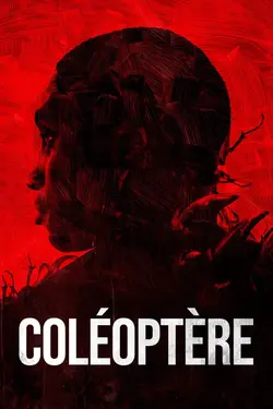 Affiche Coléoptère