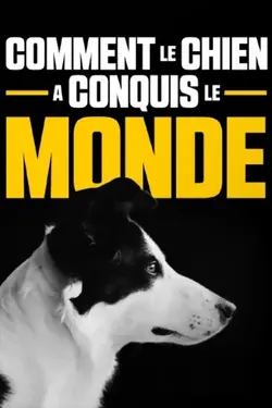 Affiche Comment le chien a conquis le monde