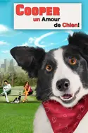 Affiche Cooper, un amour de chien en streaming