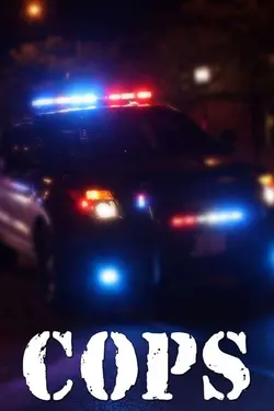 COPS S19E09 Épisode 9