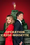 Affiche Coup de foudre au gala de Noël