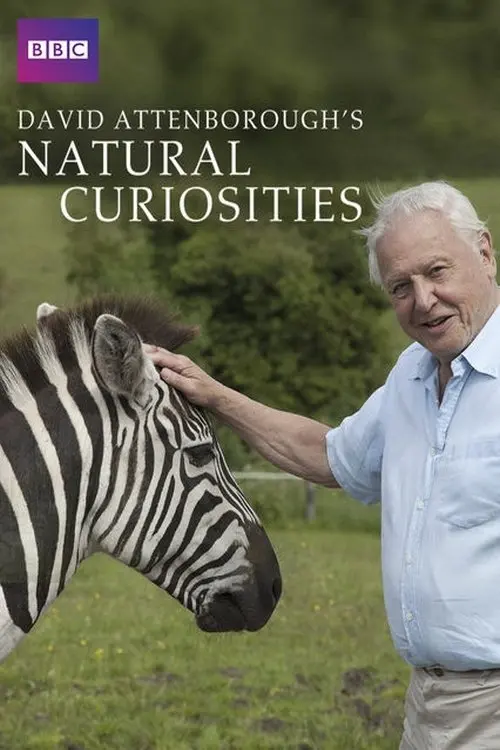 Curiosités animales David Attenborough