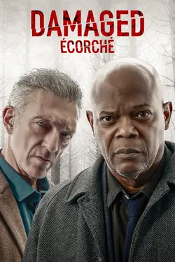 Affiche Damaged