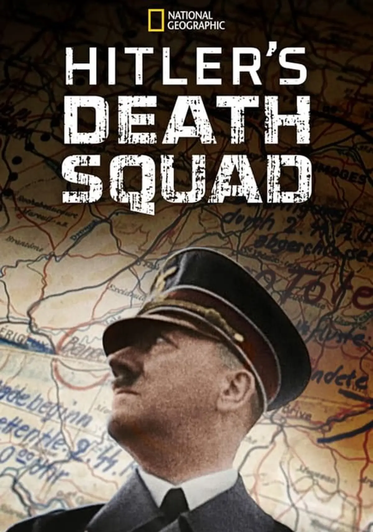 Das Reich, une division SS en France