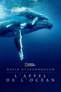 Affiche David Attenborough : L'appel de l'Océan en streaming