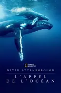 Affiche David Attenborough : L'appel de l'Océan