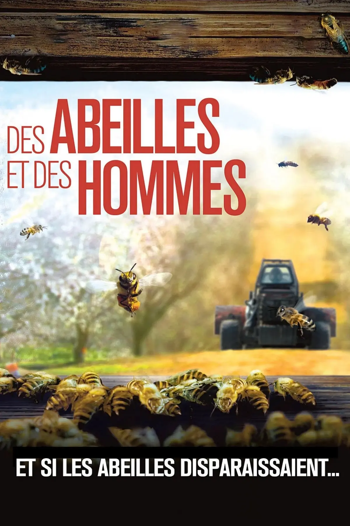 Des Abeilles et des Hommes