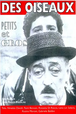 Affiche Des oiseaux petits et grands