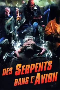 Affiche Des serpents dans l'avion