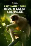 Affiche Destination Wild Le royaume de l'éléphant