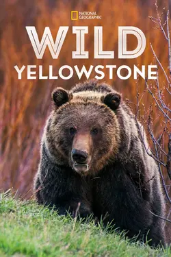 Wild Yellowstone S01E05 Destination Wild : Corée sauvage S01E05
