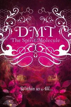 DMT : The Spirit Molecule