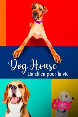 Dog House : Un chien pour la vie S07E03 Épisode 3
