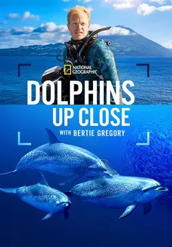 Dolphins Up Close with Bertie Gregory