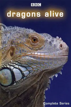 Dragons Alive S01E01 Les survivants