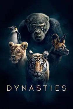 Affiche Dynasties  Une combattante solitaire