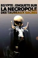 Affiche Egypte : Enquête sur la nécropole des taureaux sacrés