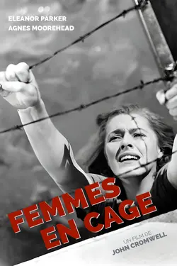 Affiche Femmes en cage