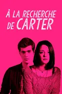 Affiche Finding Carter
