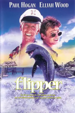 Affiche Flipper