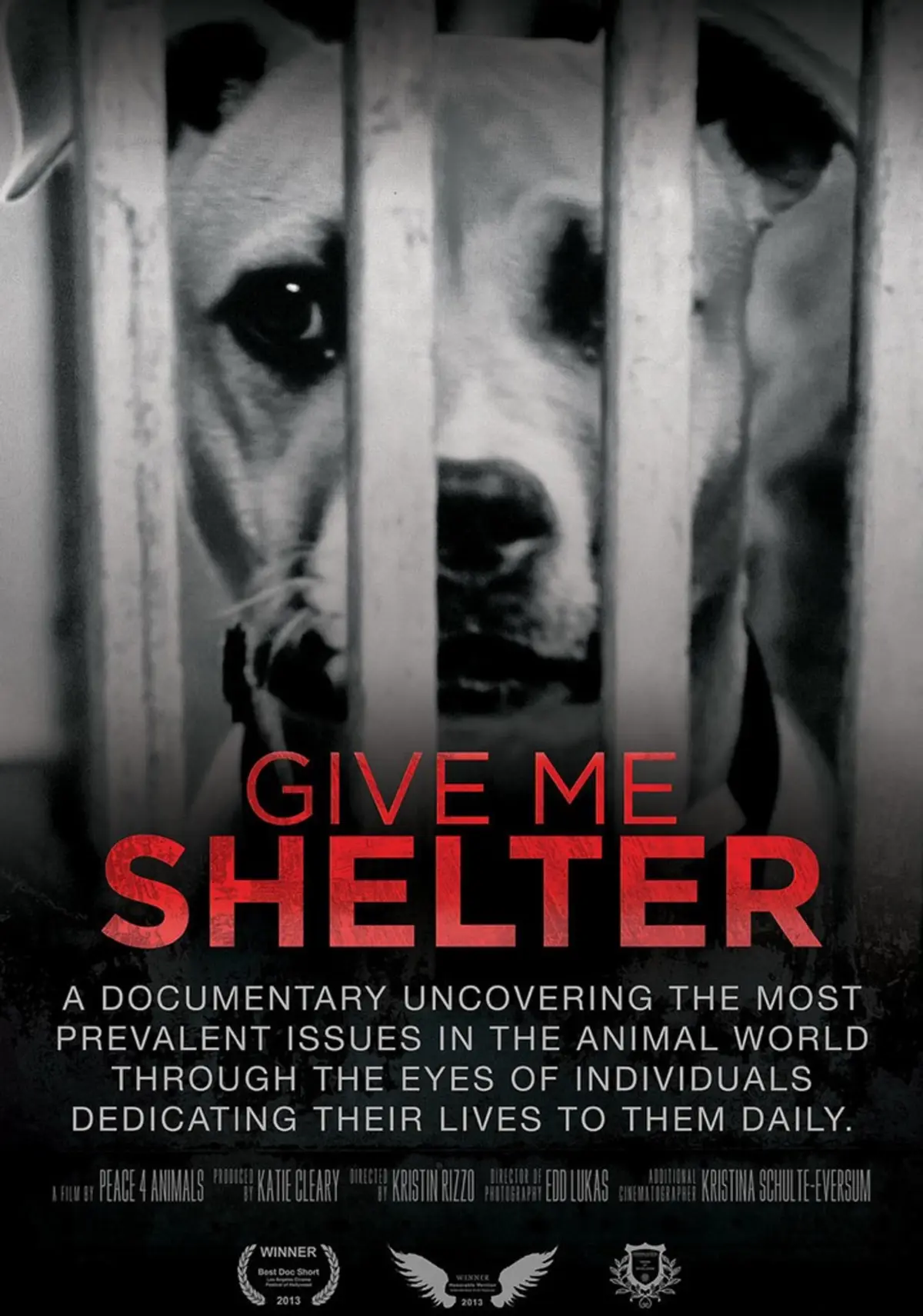 Give Me Shelter