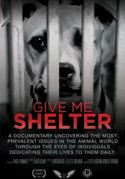 Give Me Shelter