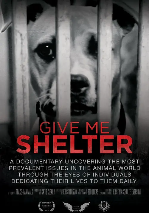 Give Me Shelter