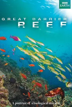 Great Barrier Reef S01E02 Les prédateurs du lagon