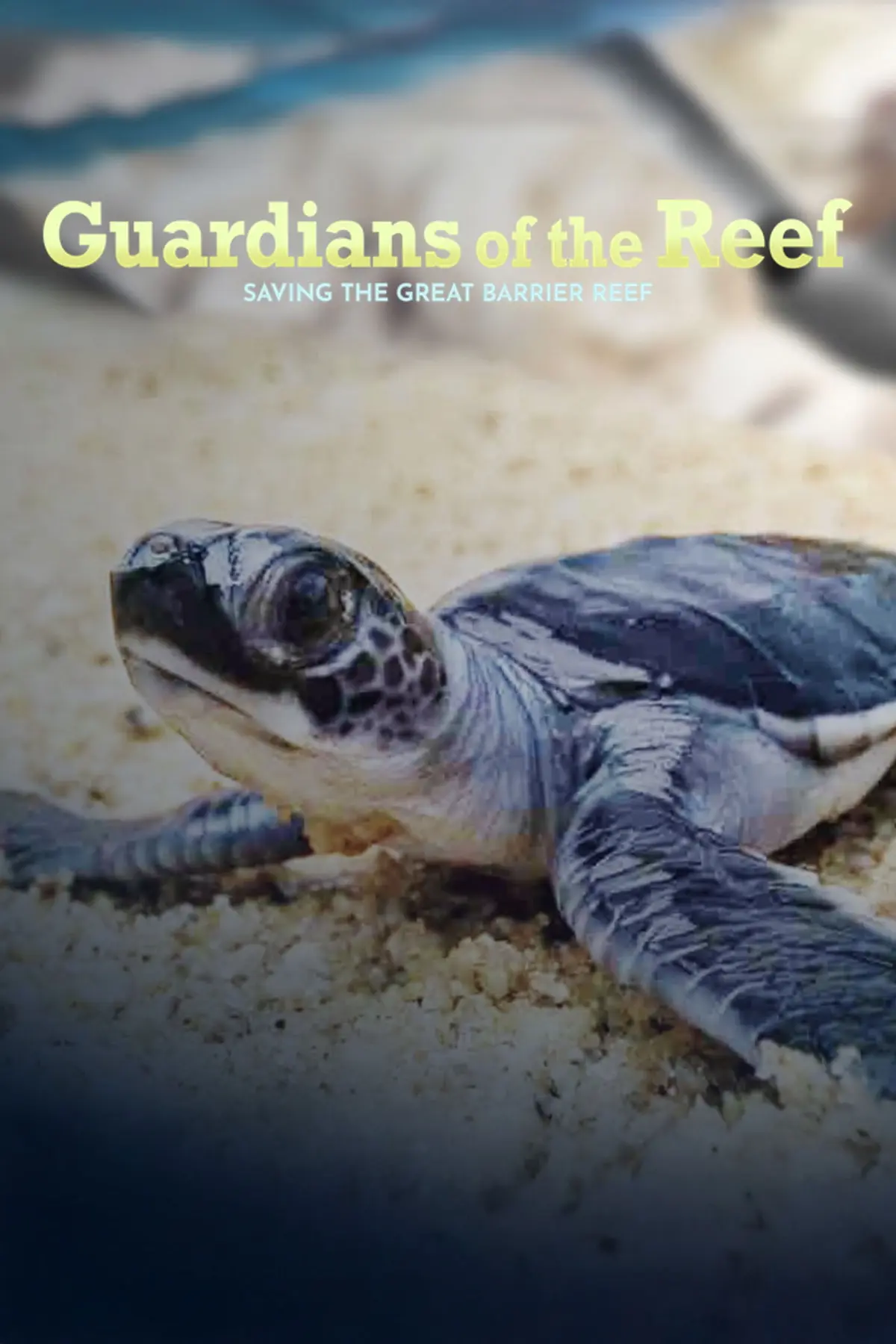 Guardians of the Reef