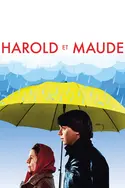 Affiche Harold et Maude en streaming
