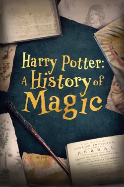 Affiche Harry Potter : aux origines de la magie