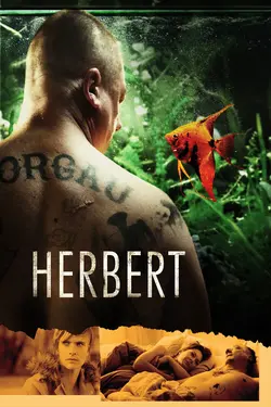 Affiche Herbert