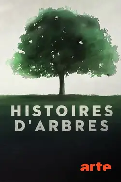 Histoires d'arbres S02E05 Les vénérables
