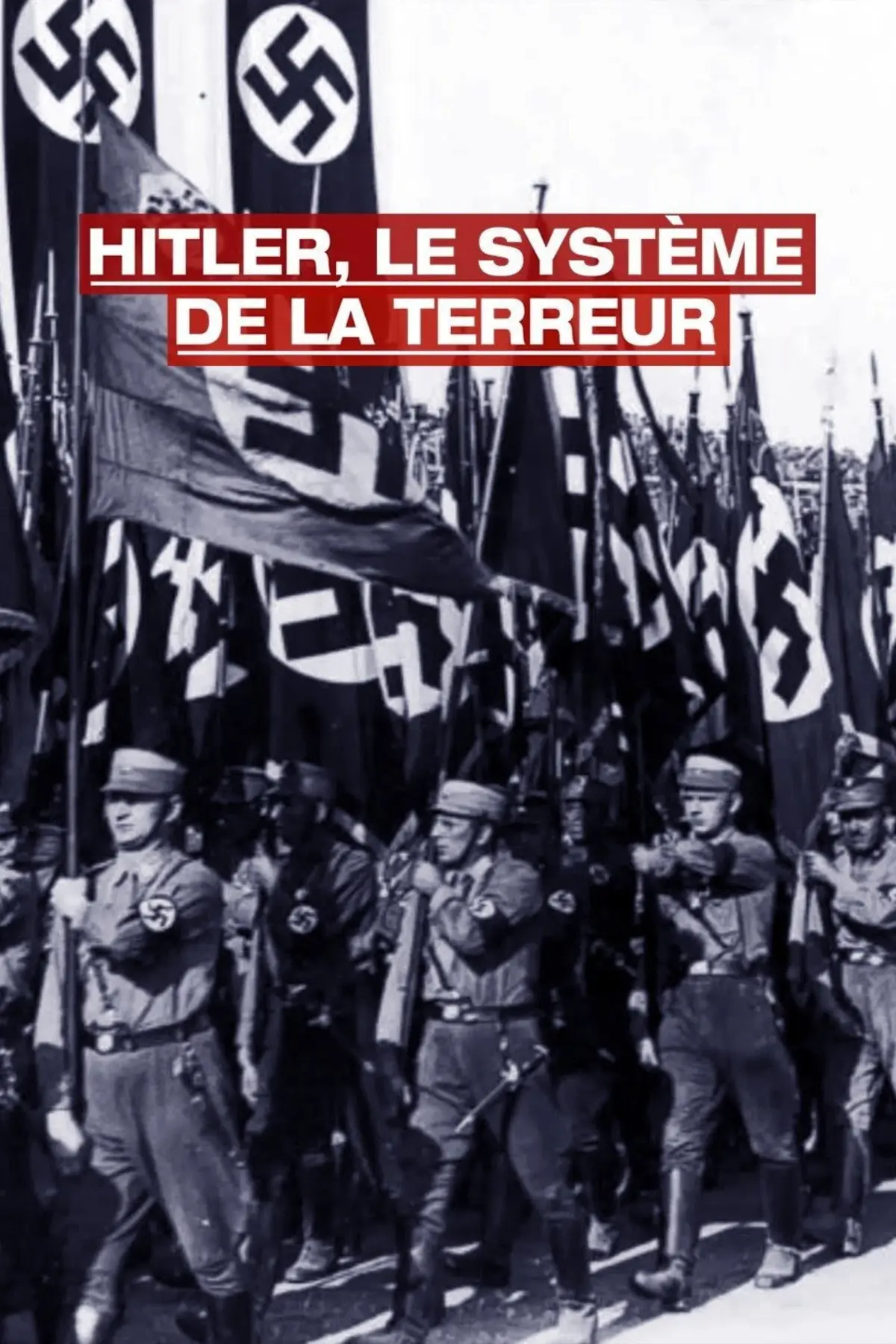 Hitler, le système de la terreur