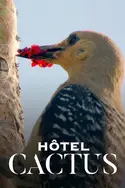 Affiche Hôtel Cactus en streaming
