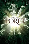 Affiche Il était une forêt en streaming