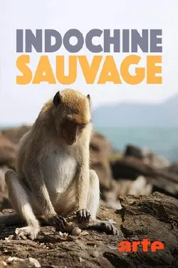 indochine sauvage S01E02 Épisode 2