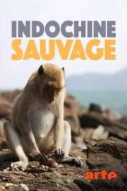 indochine sauvage S01E05 Épisode 5