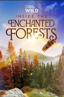 Inside the Enchanted Forests S01E06 Épisode 6