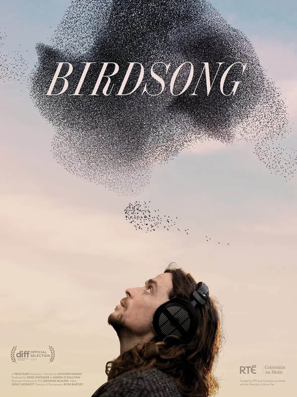 Irlande, l'homme qui écoute les oiseaux