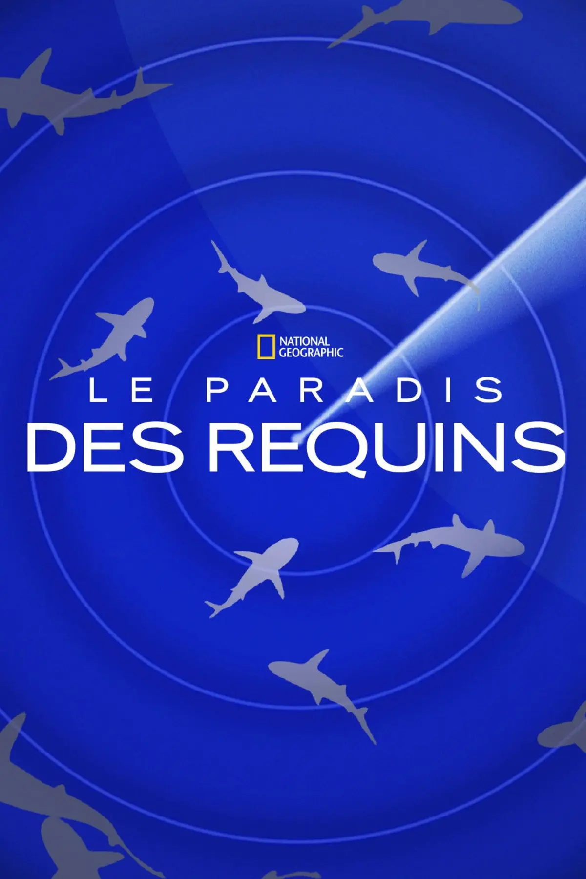 Journey to Shark Eden