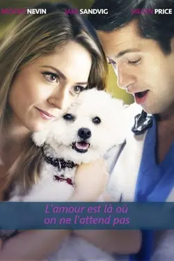 Affiche L'amour est là où on ne l'attend pas