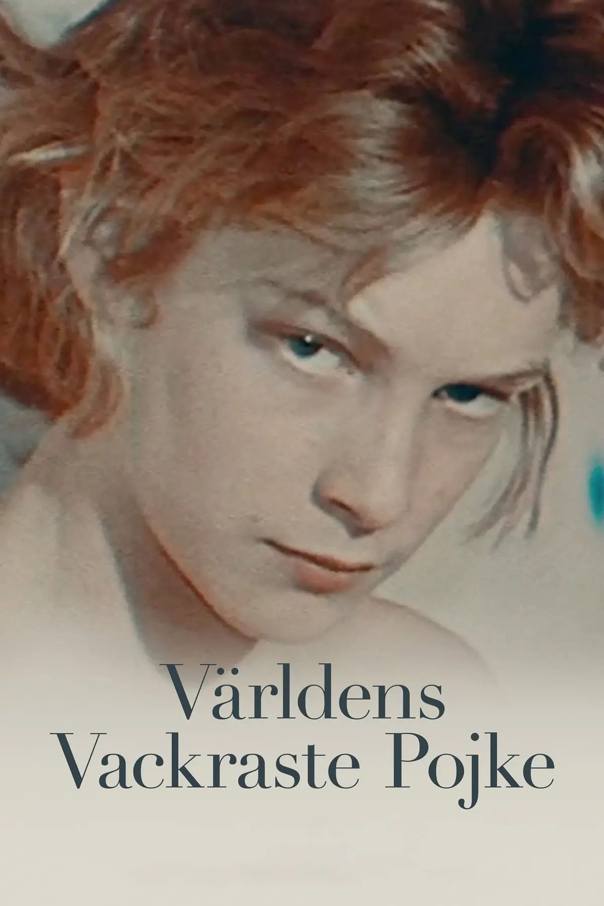 L'ange blond de Visconti - Björn Andrésen, de l'éphèbe à l'acteur