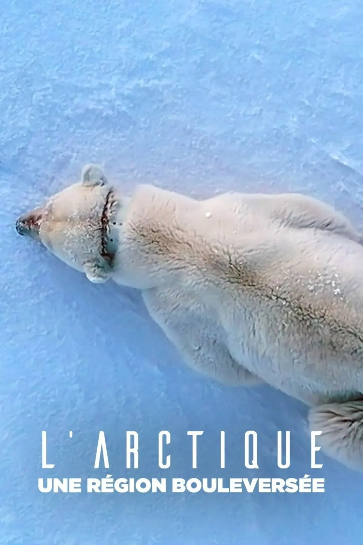L'Arctique, une région bouleversée