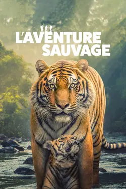 L'aventure sauvage S01E04 Léopards
