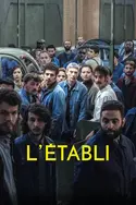 Affiche L'Etabli en streaming