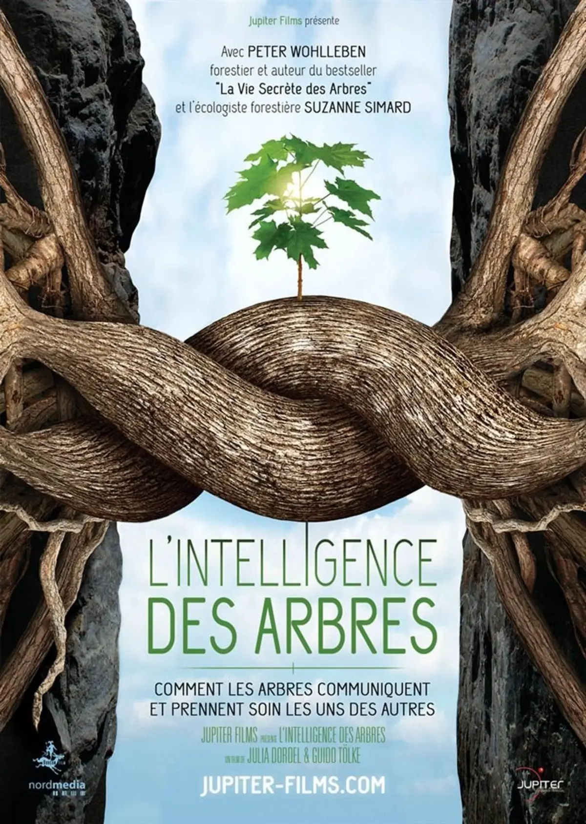 L'intelligence des arbres