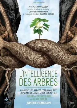 L'intelligence des arbres
